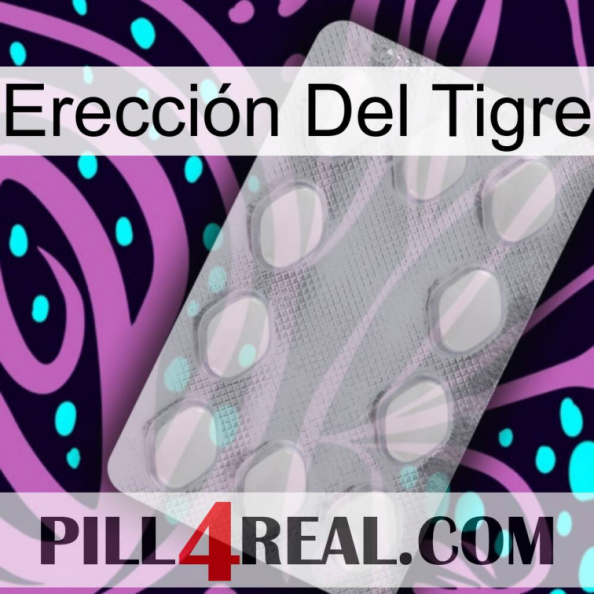 Erección Del Tigre 16.jpg